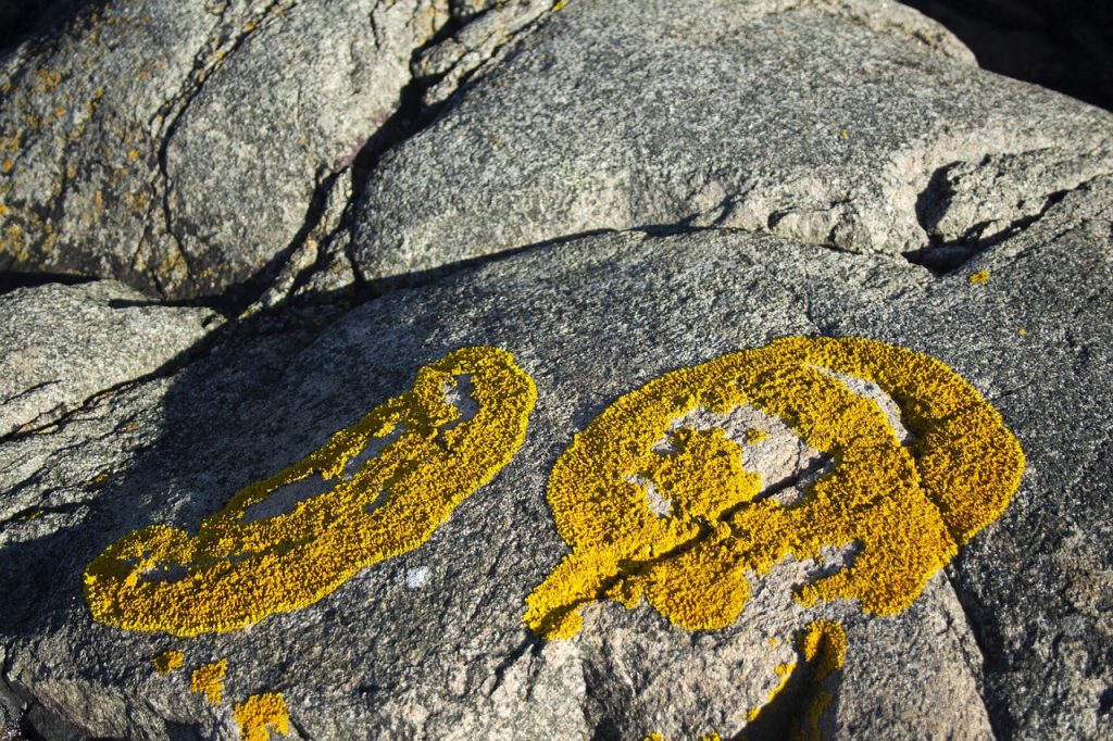 coast, rock, sea, landscape, riverbank, stones, nature, play of colors